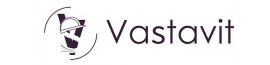 logo_vastavit-srl_6e2df942e727428de4c28da185a9719d