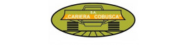 logo_cariera-cobusca-sa_6b45dcfc2ef361c34963a3c10faba3e9