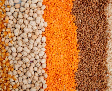 Ukraine: Resumption of exports of cereals and agricultural products